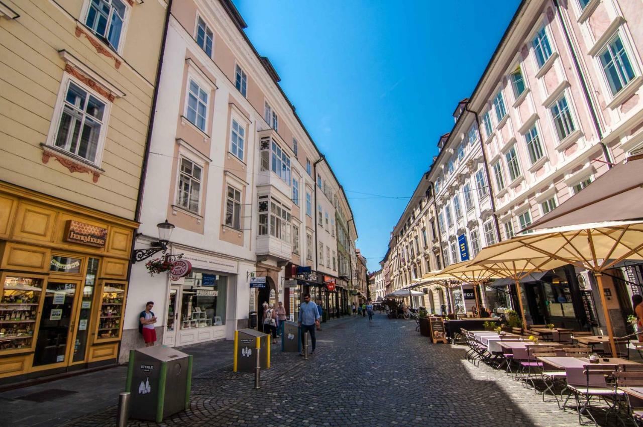 Elegant Central Apartment Ljubljana Exterior foto